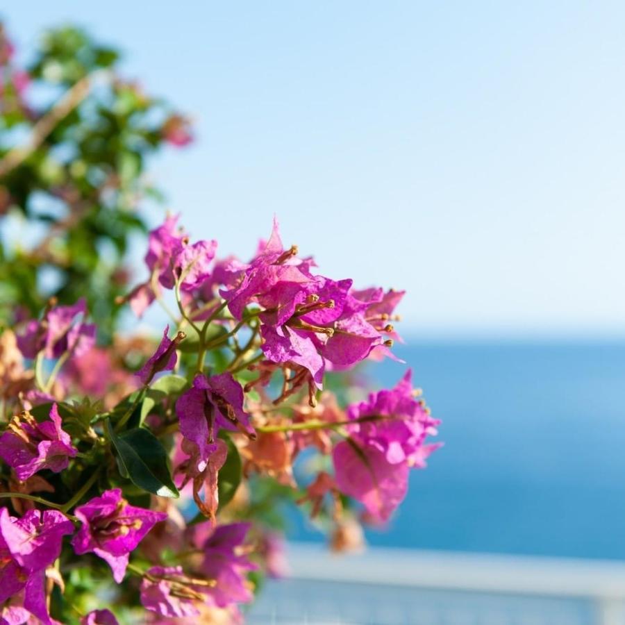 Made In Sicily Santa Tecla Bed & Breakfast Acireale Exterior photo